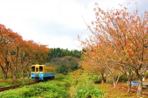 小春日和の峠道 佐藤和博