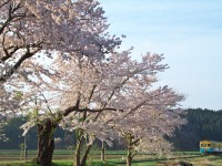 根本陽一