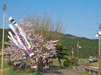 根本陽一
