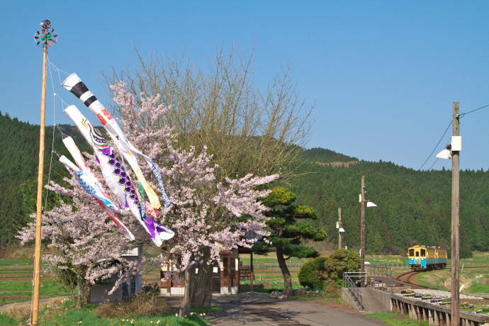 根本陽一