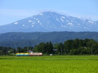 栃木仁