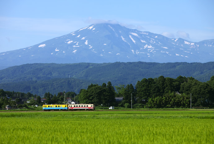 栃木仁