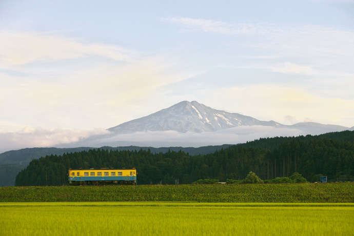 栃木仁