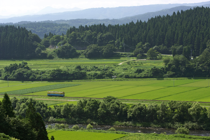 栃木仁