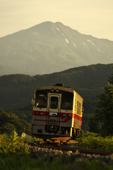 栃木仁