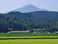 栃木仁