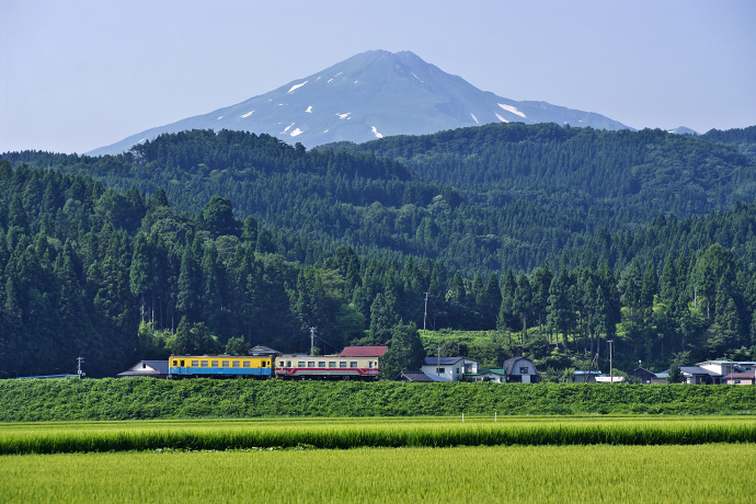 栃木仁