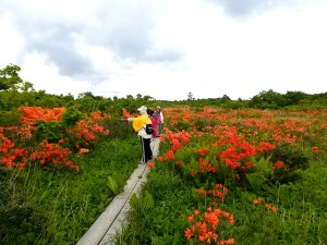 IMG02998