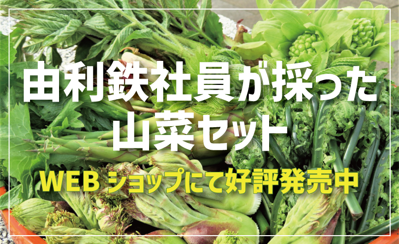 ｢山菜セット｣ 通販受付開始イメージ